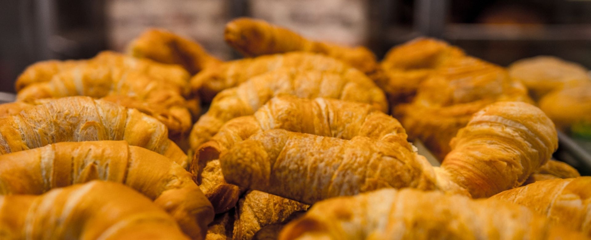 Panadería Paola Roosevelt